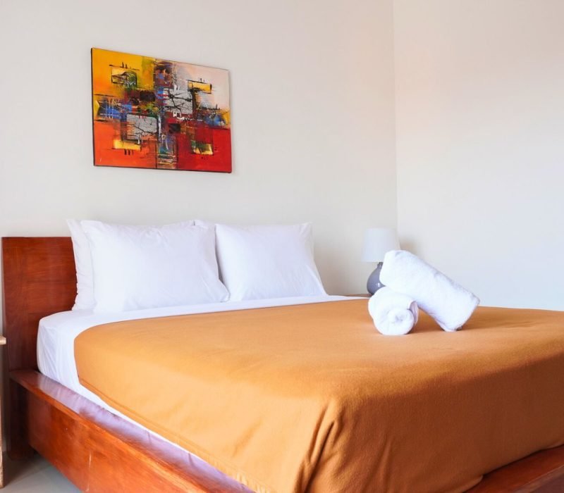 Sos Canggu Deluxe Double Room (2)